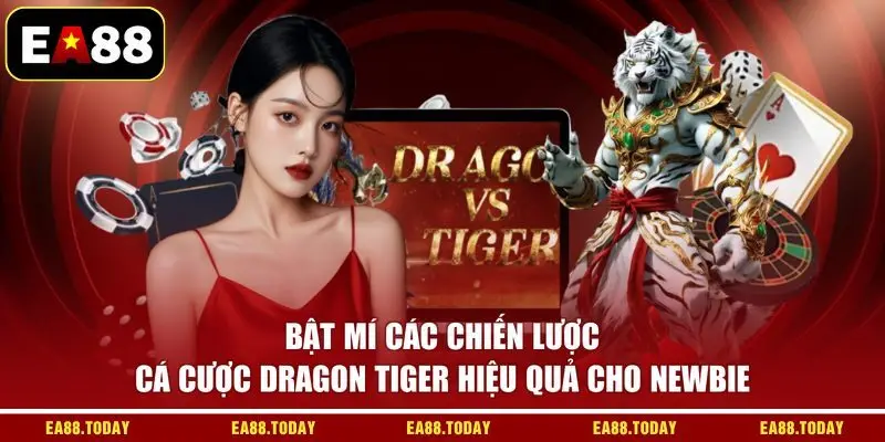 Bật mí các chiến lược cá cược Dragon Tiger hiệu quả cho newbie