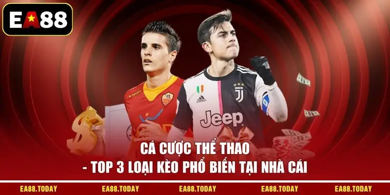 Cá Cược Thể Thao - Top 3 Loại Kèo Phổ Biến Tại Nhà Cái