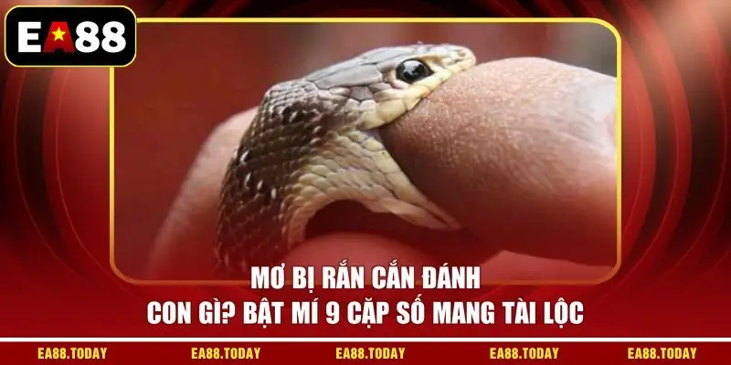 Mơ Bị Rắn Cắn Đánh Con Gì? Bật Mí 9 Cặp Số Mang Tài Lộc