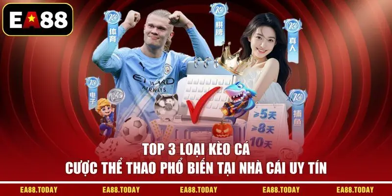 Top 3 loại kèo cá cược thể thao phổ biến tại nhà cái uy tín