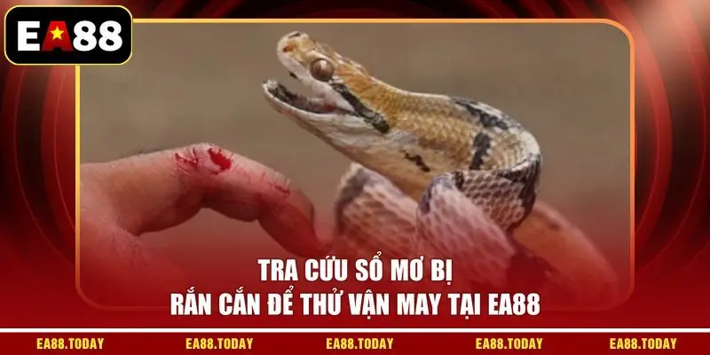Tra cứu sổ mơ bị rắn cắn để thử vận may tại EA88
